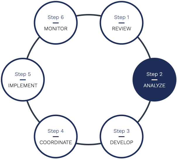 Homepage + Our Process Step 2